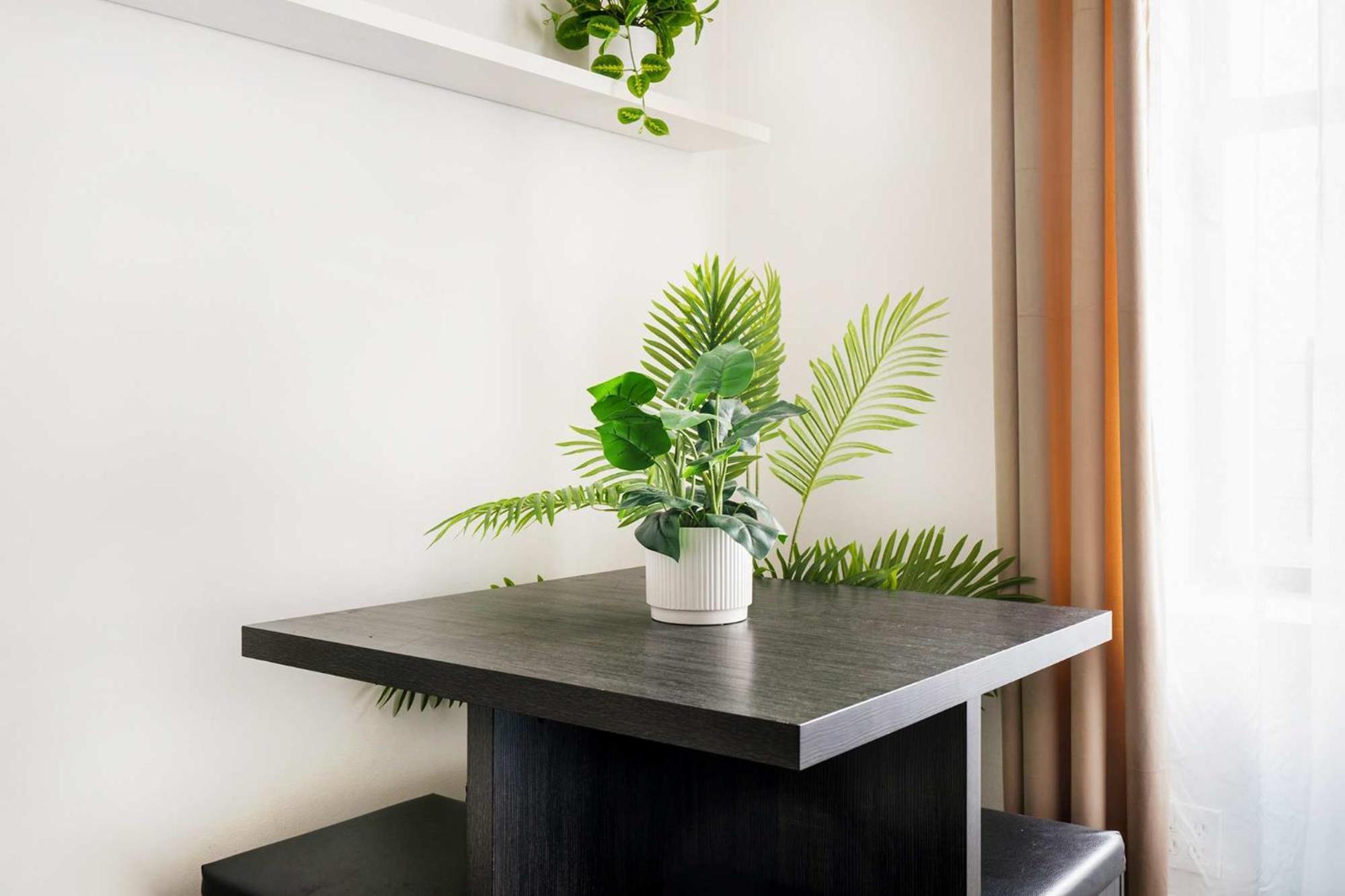 428-2w Newly Furnished 2br Sleeps 5 Prime Location Apartment *